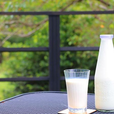 فندق ومنتجع جيرنسي Taketa المظهر الخارجي الصورة